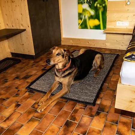 Urlaubsreich Apartamento