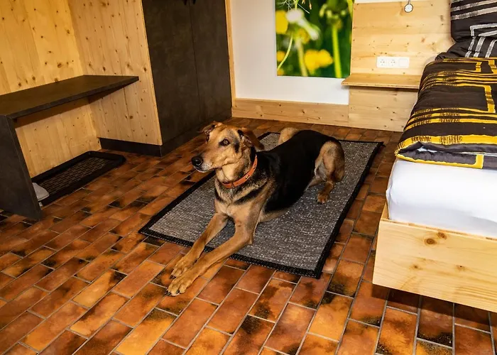 Urlaubsreich Apartment